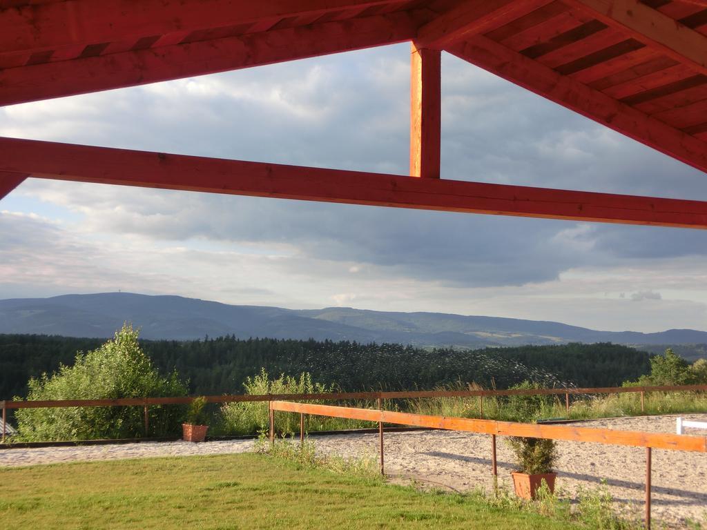 Готель Dvur Stran & Wellness Карлові Вари Екстер'єр фото
